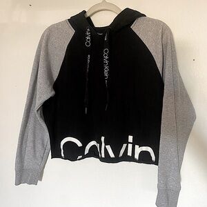 Calvin Klein Cropped Hoodie